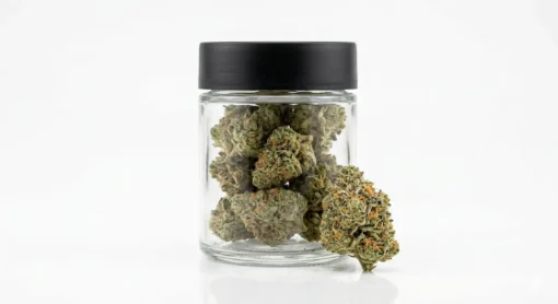 Buy Chemdawg Online Buy Chemdawg online, cannabis jar and Chemdawg bud on white background