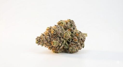 Buy Lemon Cherry Gelato THCA flower premium bud Buy Lemon Cherry Gelato THCA flower