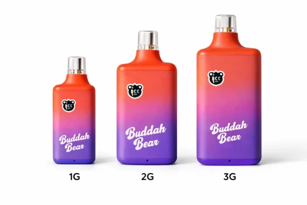 Buddah Bear disposable vapes shown in 1G 2G and 3G size comparison on clean background
