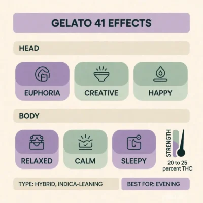 Gelato 41 strain effects card showing euphoric head high, relaxing body effects, and 20 to 25 percent THC strength