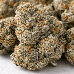 Ice Cream Cake THCA Flower dense trichome covered buds | premium exotic indoor California