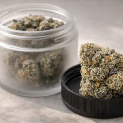 Ice Cream Cake THCA flower bud resting on jar lid with frosted glass cannabis jar in background
