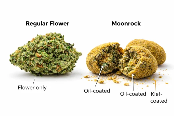 Annotated side-by-side comparison of regular cannabis flower and a moonrock showing flower-only bud, sticky oil layer, and outer kief coating