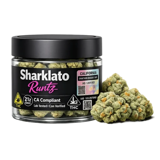 Top‑down view of Sharklato Runtz premium cannabis flower jar lid showing label alignment and California compliance icons for a premium cannabis flower guide.