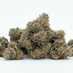 Sunset Sherbet THCA flower effects