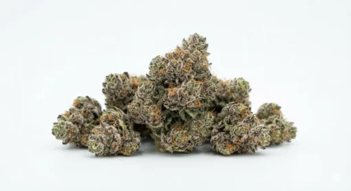 Sunset Sherbet THCA flower effects